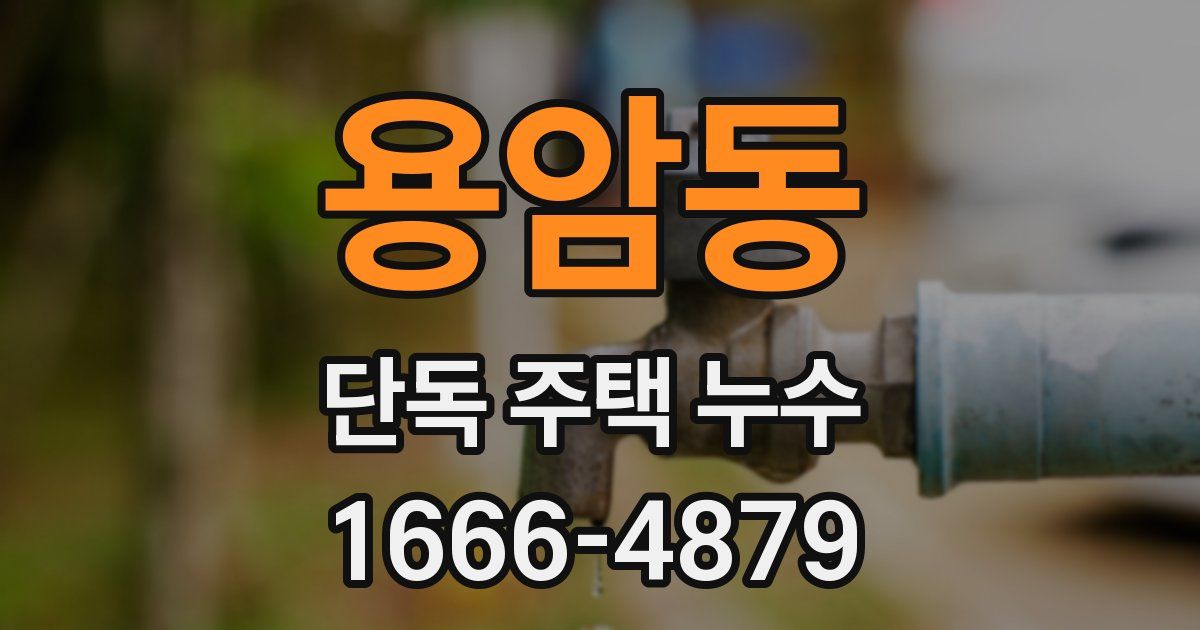 용암동 단독 주택 누수