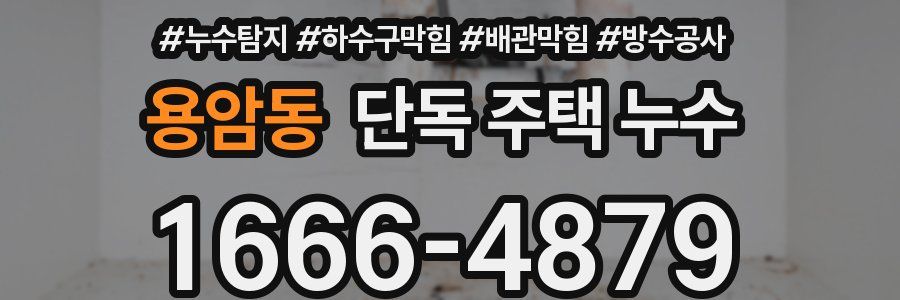 용암동 단독 주택 누수