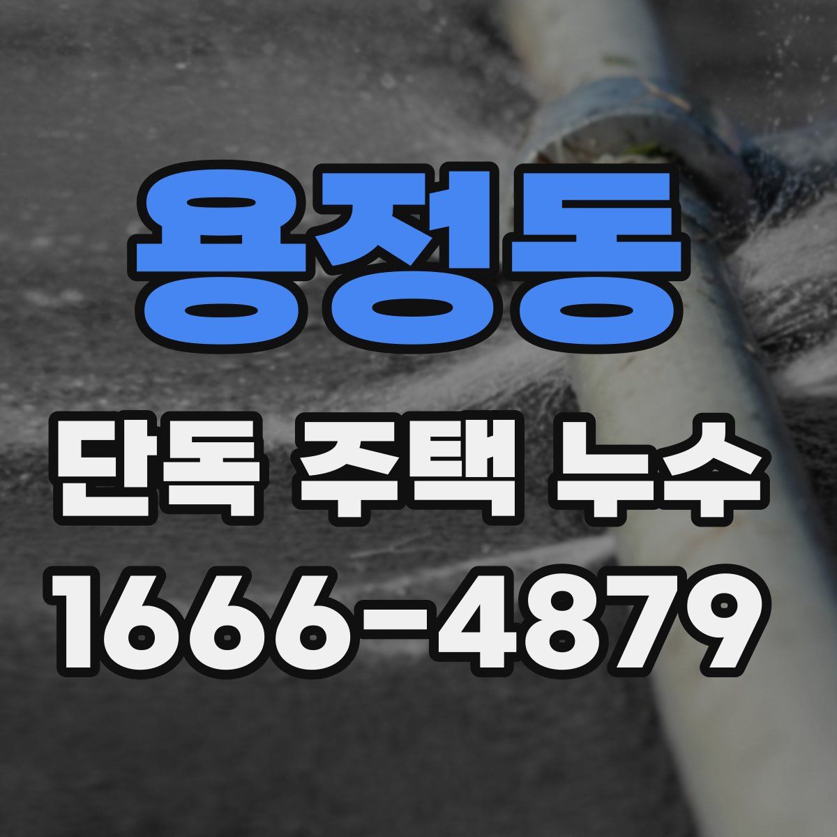용정동 단독 주택 누수