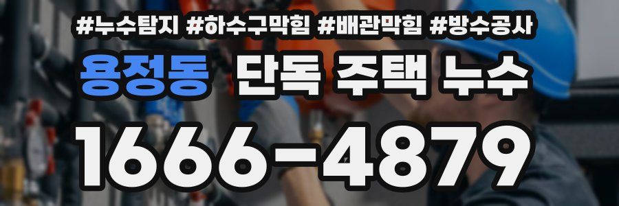 용정동 단독 주택 누수