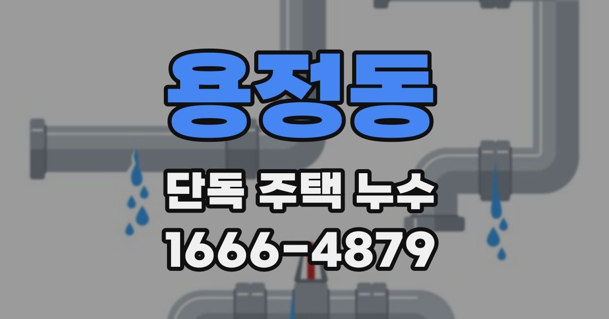 용정동 단독 주택 누수