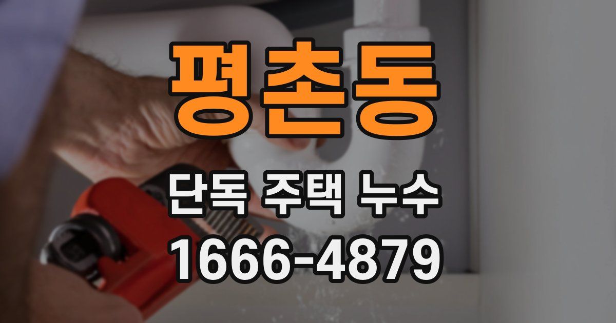 평촌동 단독 주택 누수