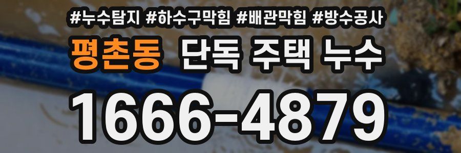 평촌동 단독 주택 누수