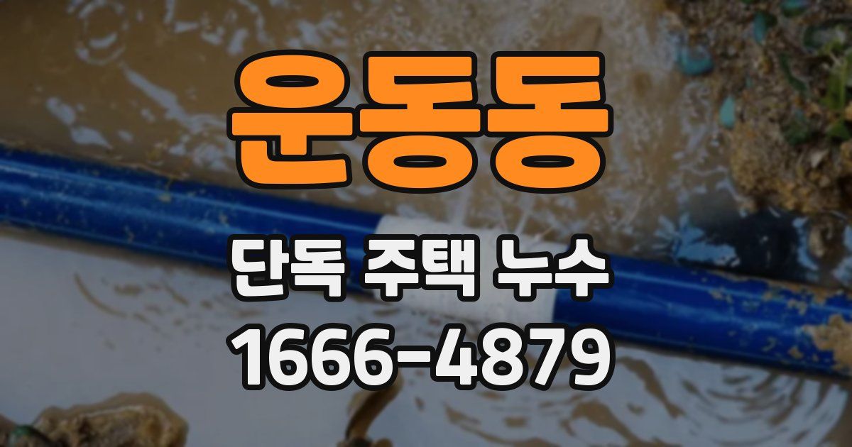 운동동 단독 주택 누수