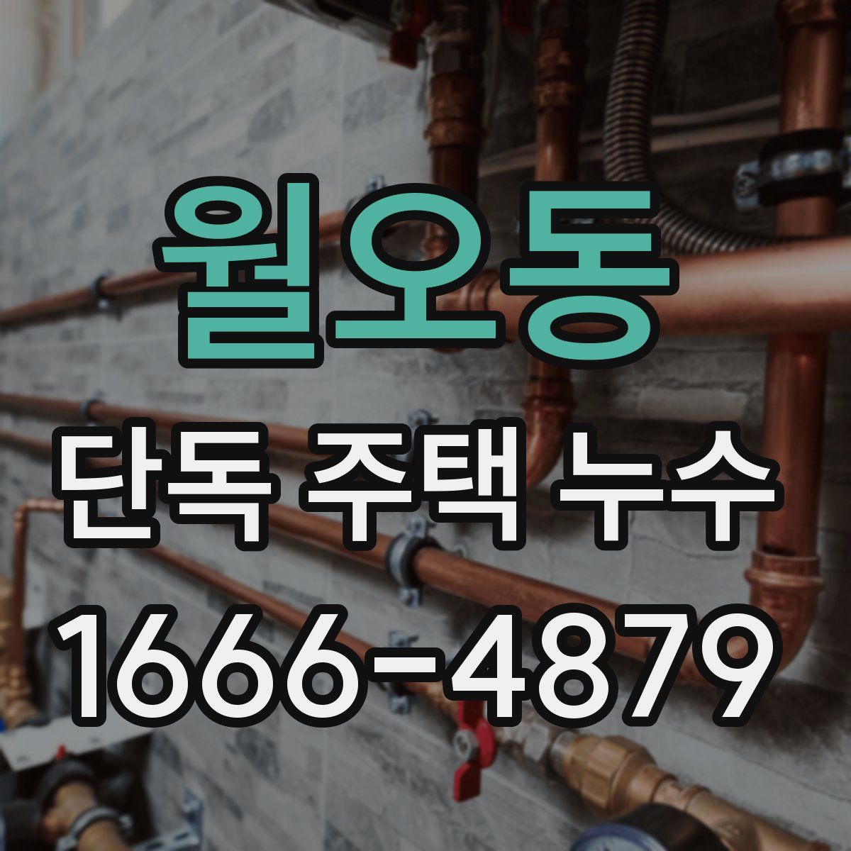 월오동 단독 주택 누수