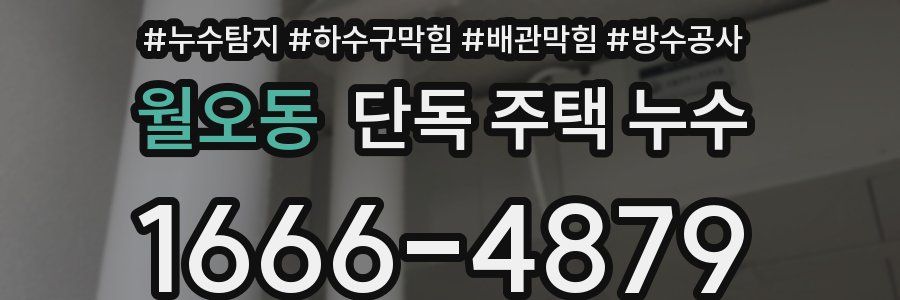 월오동 단독 주택 누수