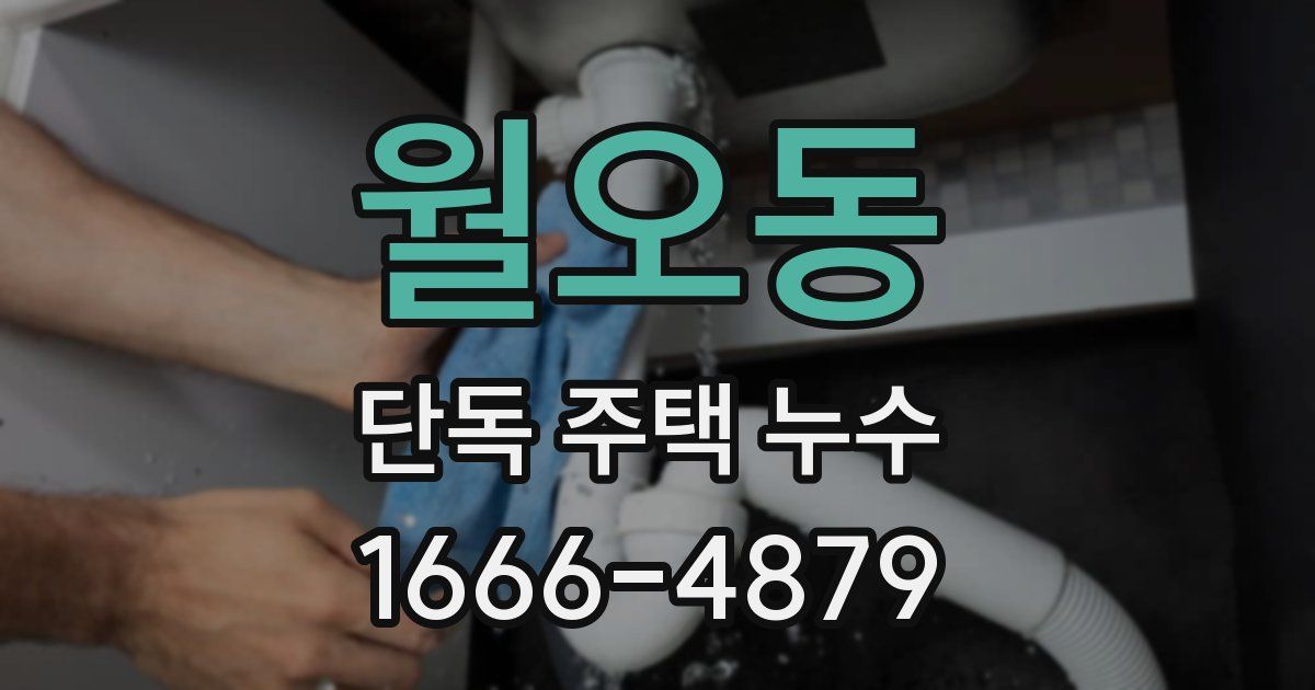 월오동 단독 주택 누수