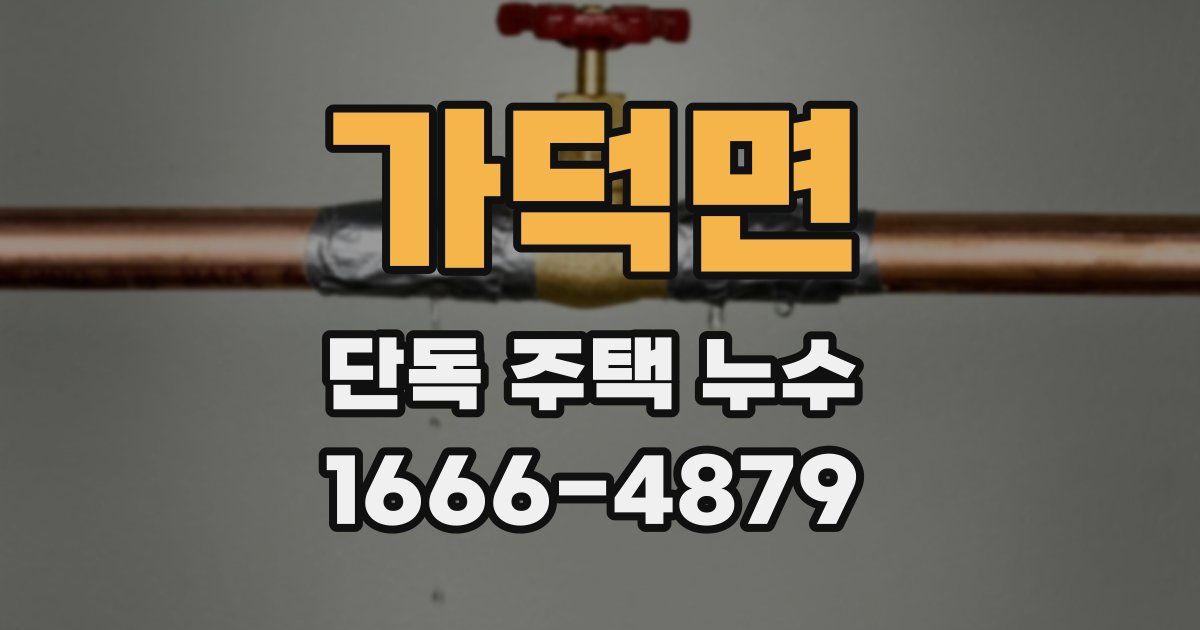 가덕면 단독 주택 누수