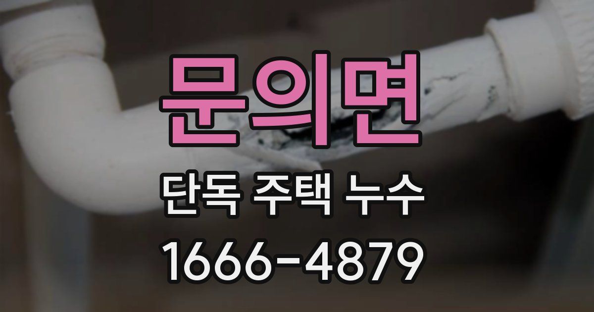 문의면 단독 주택 누수
