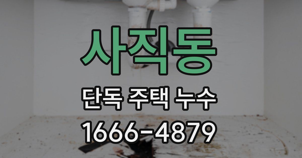 사직동 단독 주택 누수