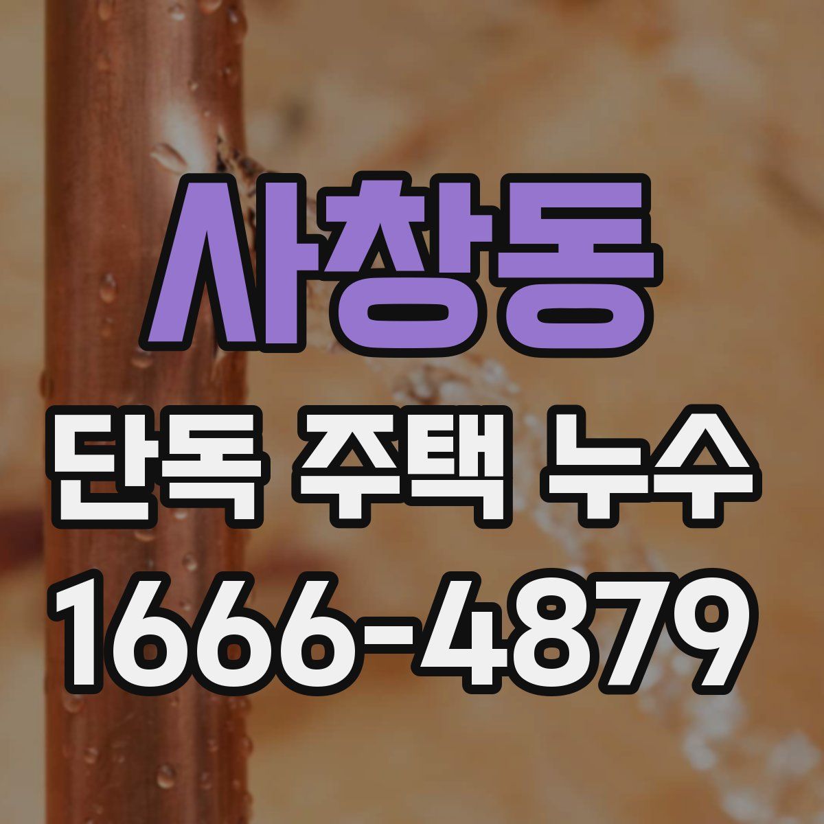 사창동 단독 주택 누수