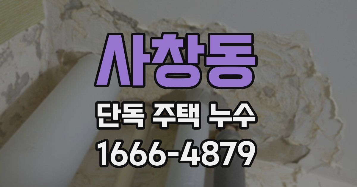 사창동 단독 주택 누수