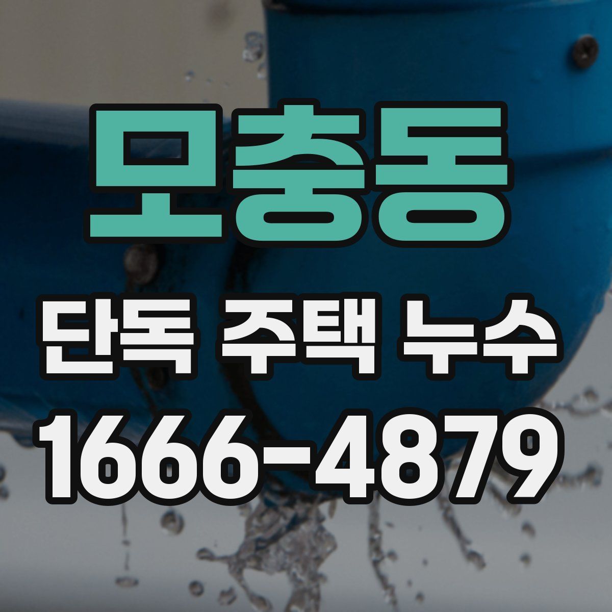 모충동 단독 주택 누수