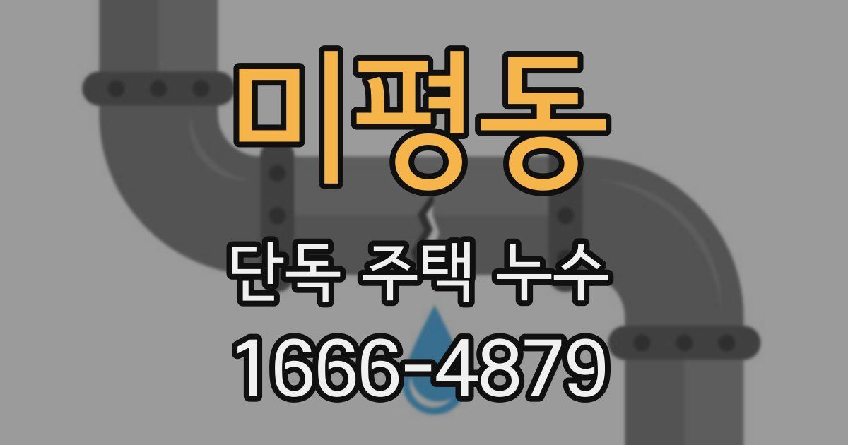 미평동 단독 주택 누수