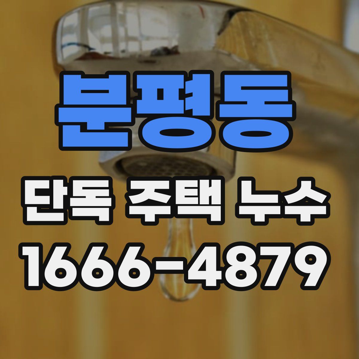 분평동 단독 주택 누수