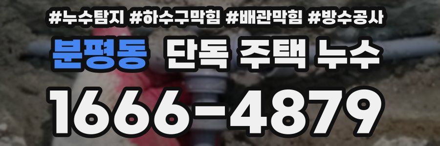분평동 단독 주택 누수