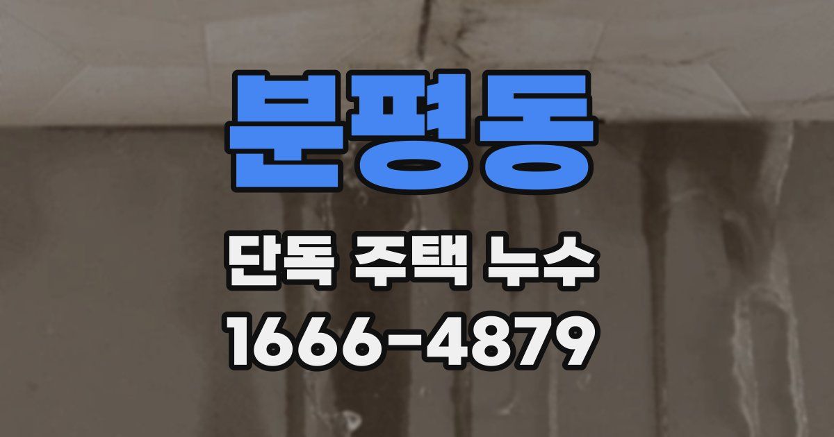 분평동 단독 주택 누수