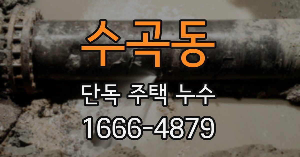 수곡동 단독 주택 누수