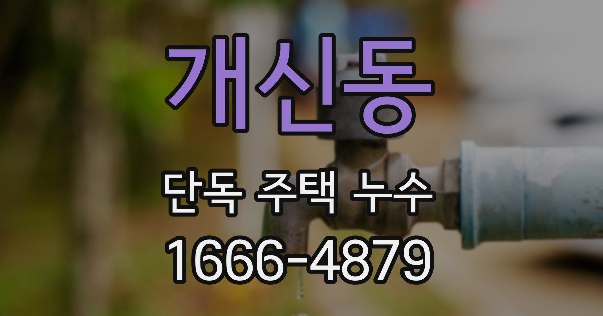 개신동 단독 주택 누수