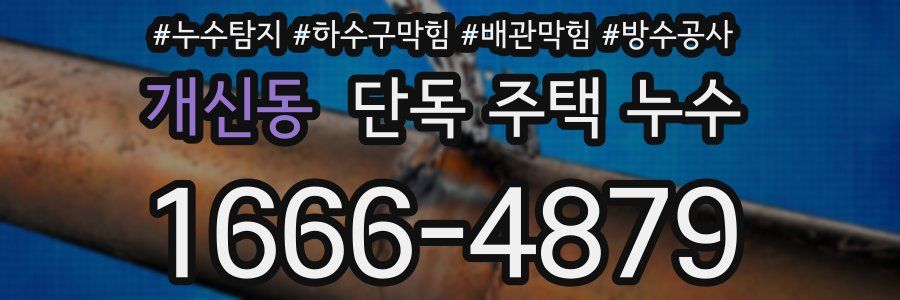개신동 단독 주택 누수