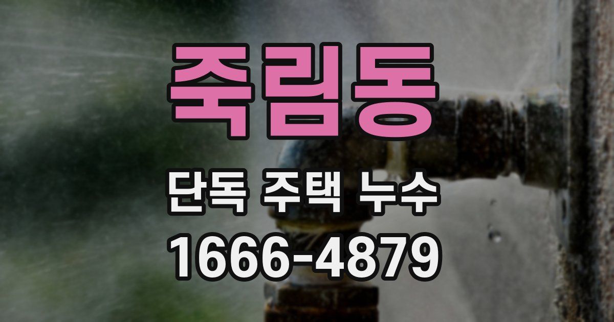 죽림동 단독 주택 누수