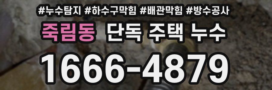 죽림동 단독 주택 누수