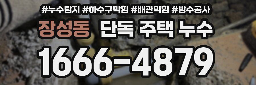 장성동 단독 주택 누수