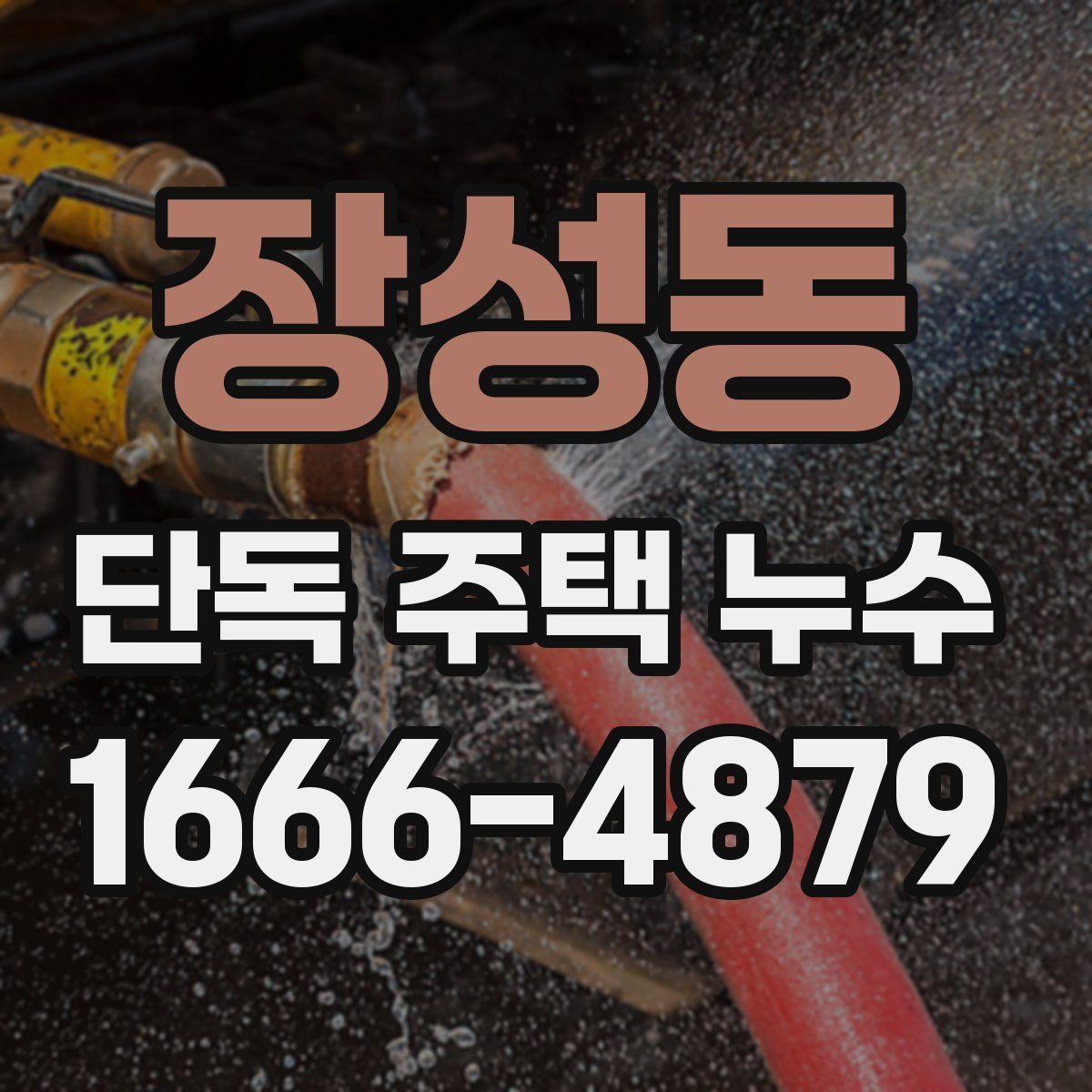 장성동 단독 주택 누수