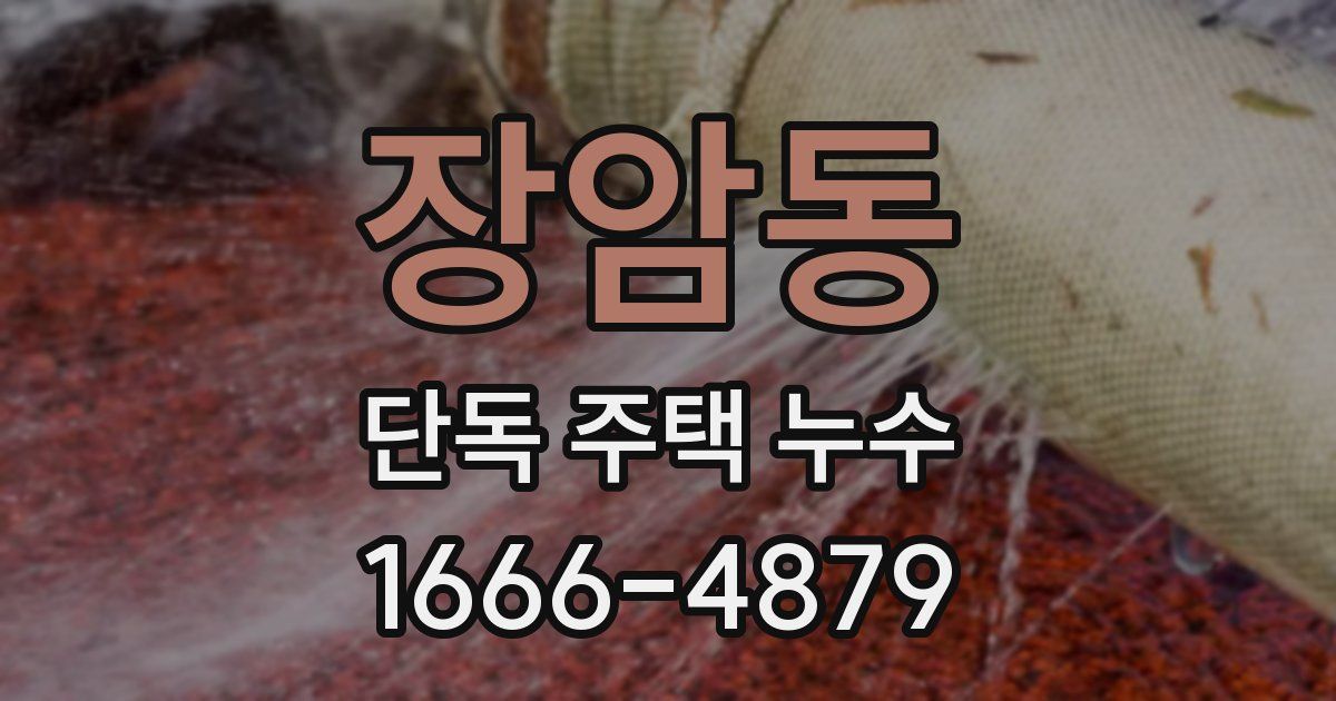 장암동 단독 주택 누수