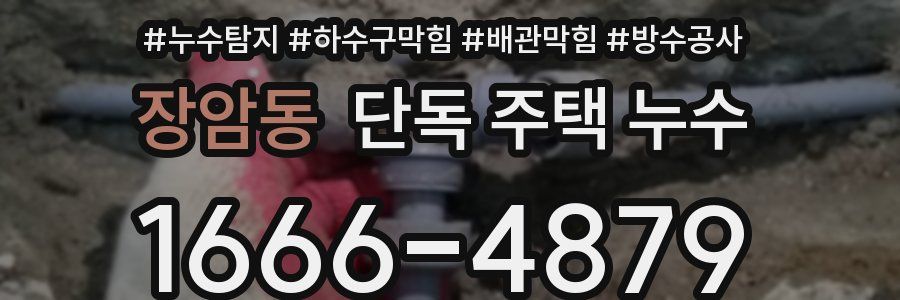 장암동 단독 주택 누수