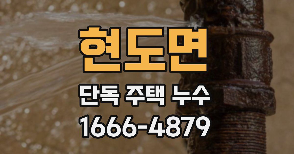 현도면 단독 주택 누수