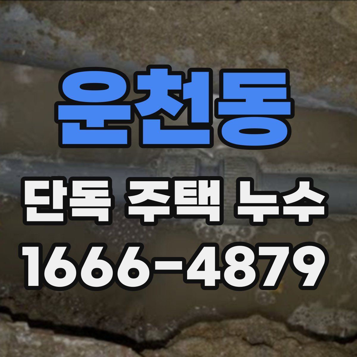 운천동 단독 주택 누수