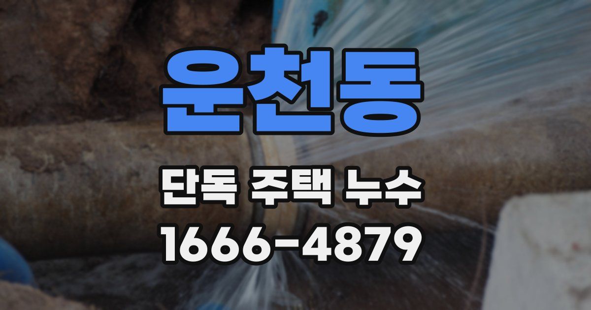 운천동 단독 주택 누수