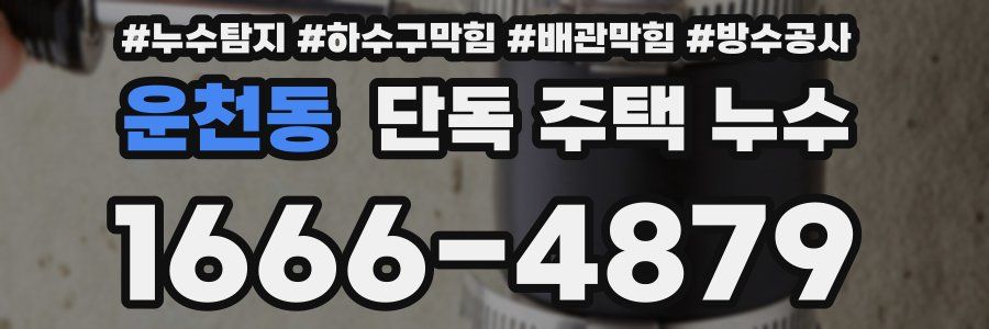 운천동 단독 주택 누수