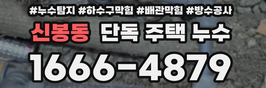 신봉동 단독 주택 누수
