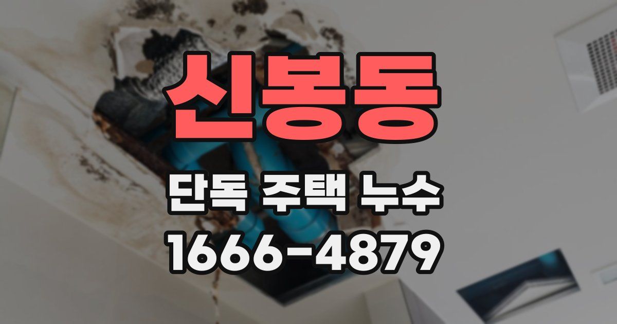 신봉동 단독 주택 누수