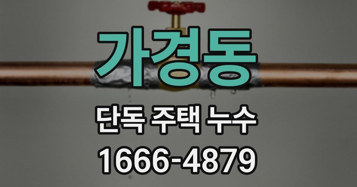 가경동 단독 주택 누수