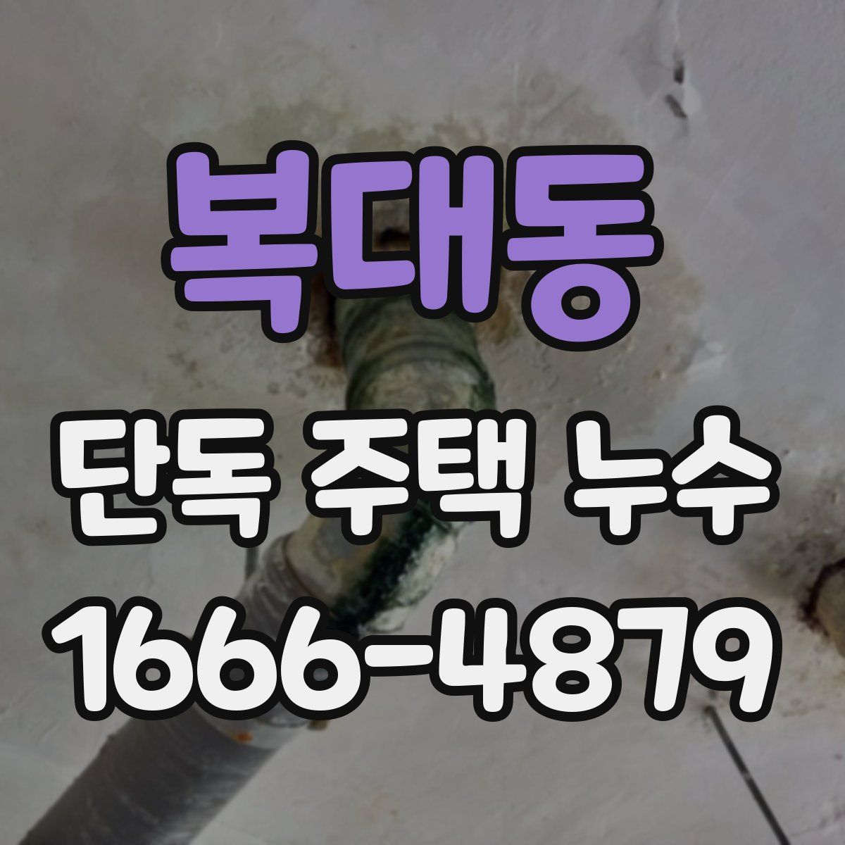복대동 단독 주택 누수