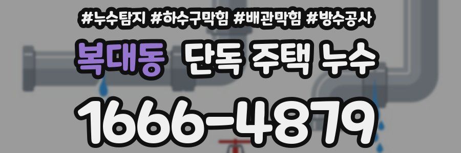 복대동 단독 주택 누수