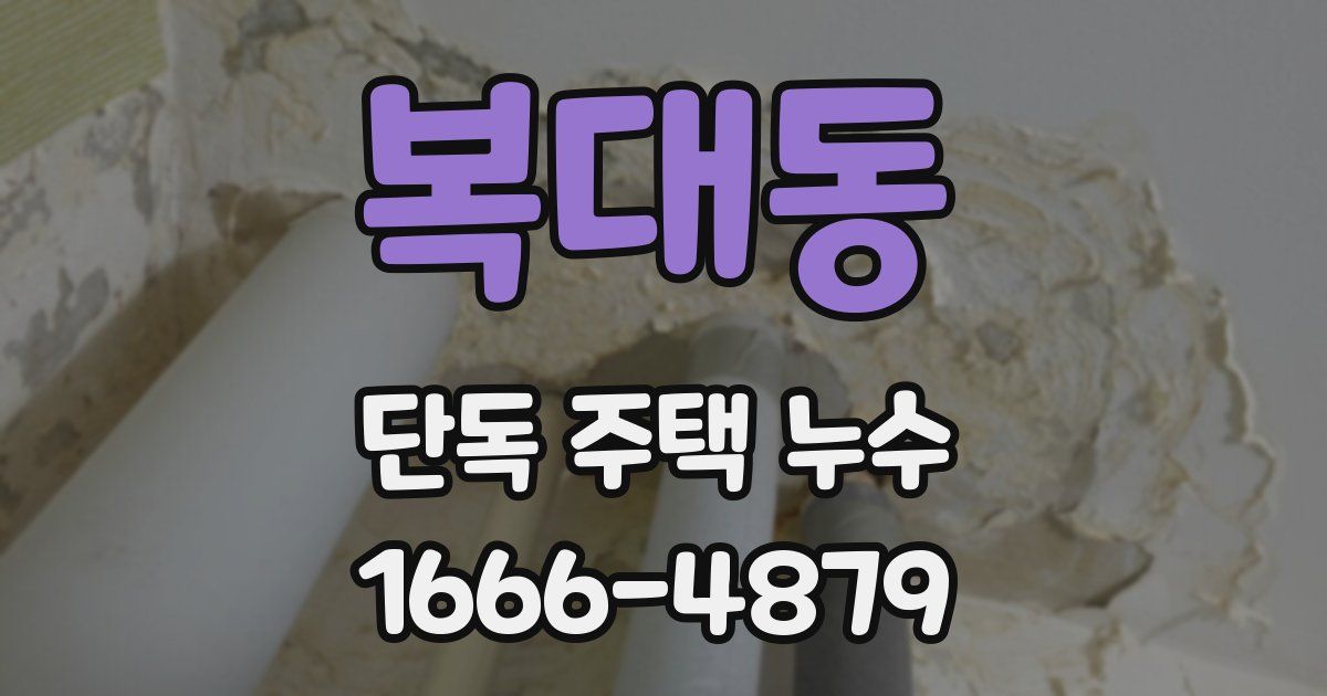 복대동 단독 주택 누수