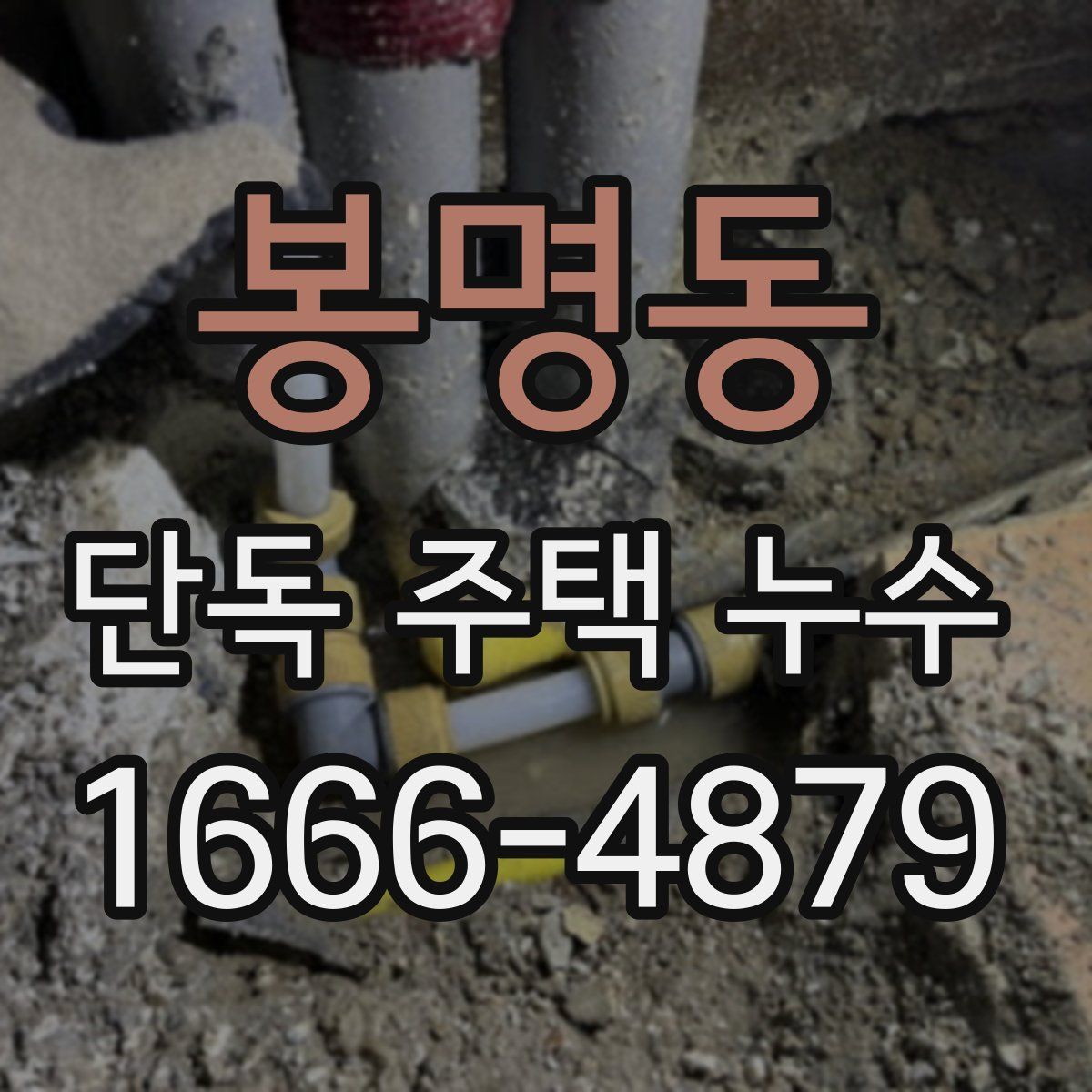 봉명동 단독 주택 누수