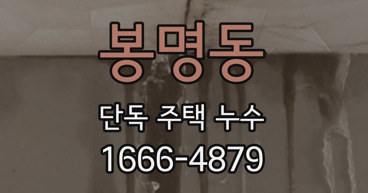 봉명동 단독 주택 누수