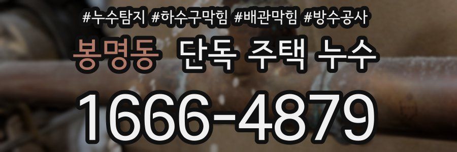 봉명동 단독 주택 누수