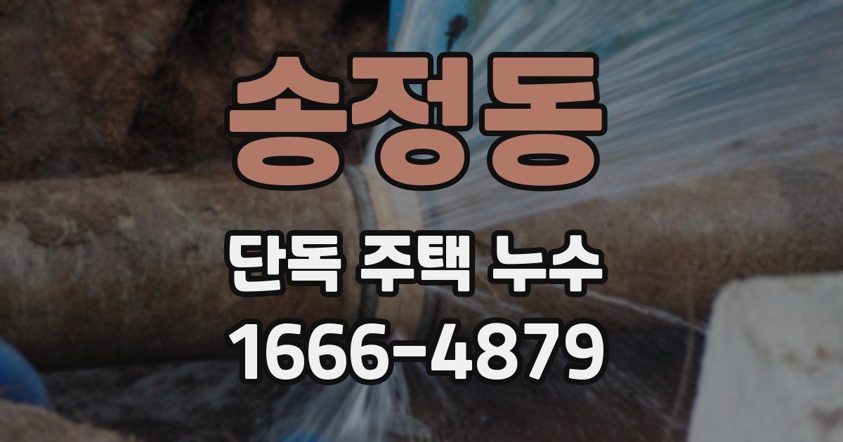 송정동 단독 주택 누수