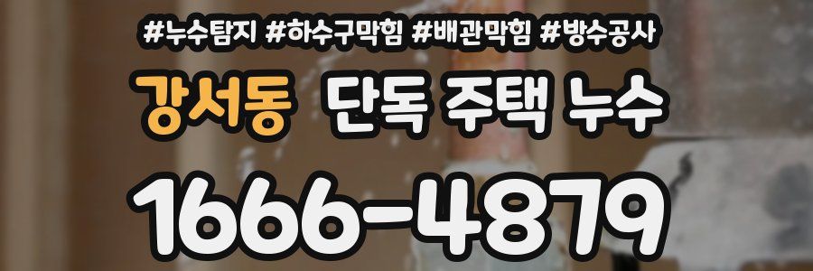 강서동 단독 주택 누수