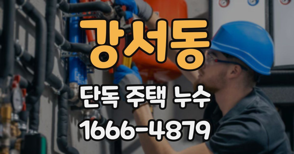 강서동 단독 주택 누수