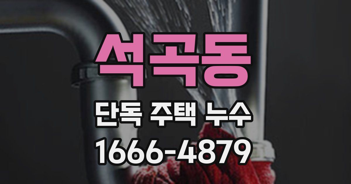 석곡동 단독 주택 누수