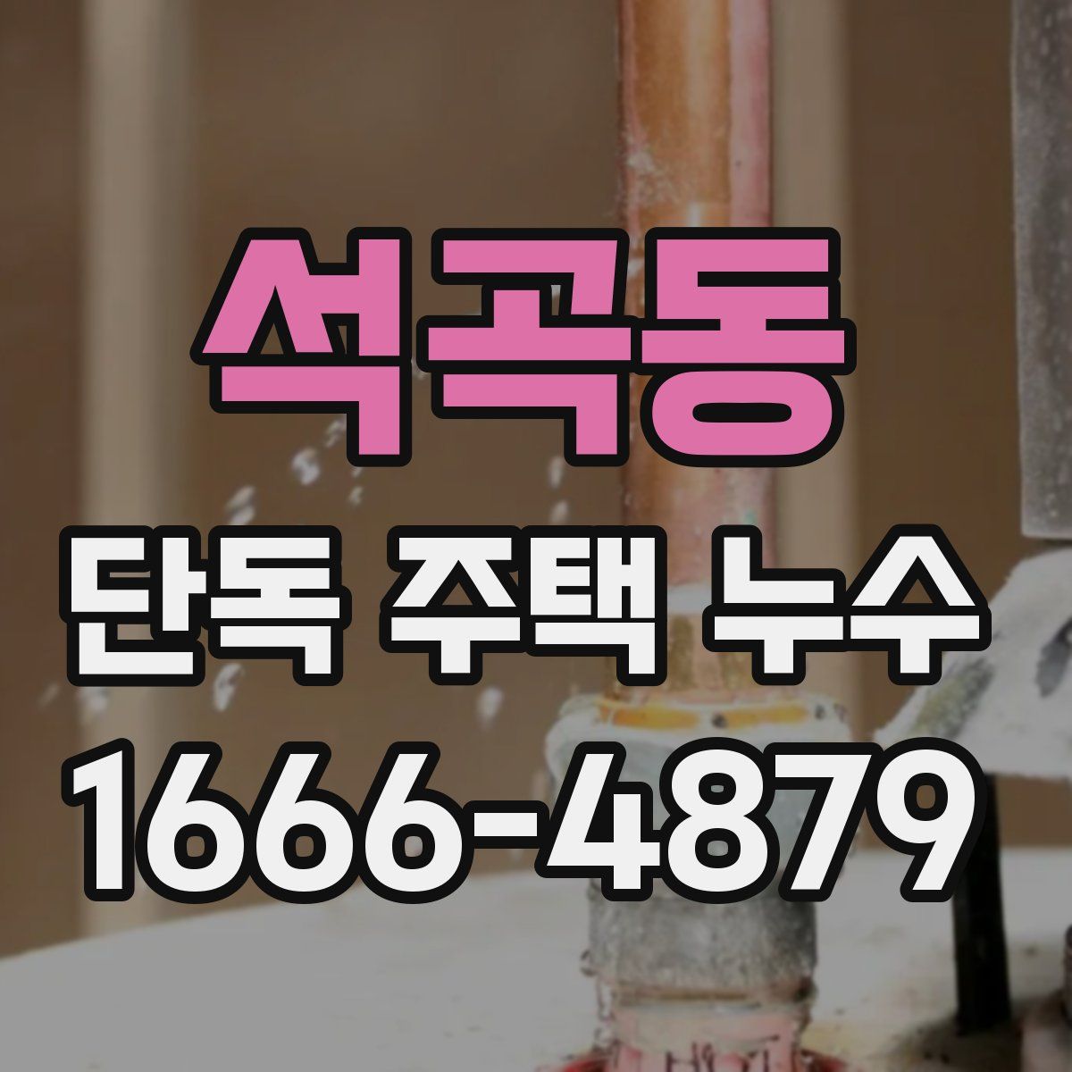 석곡동 단독 주택 누수