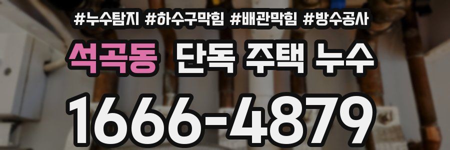 석곡동 단독 주택 누수