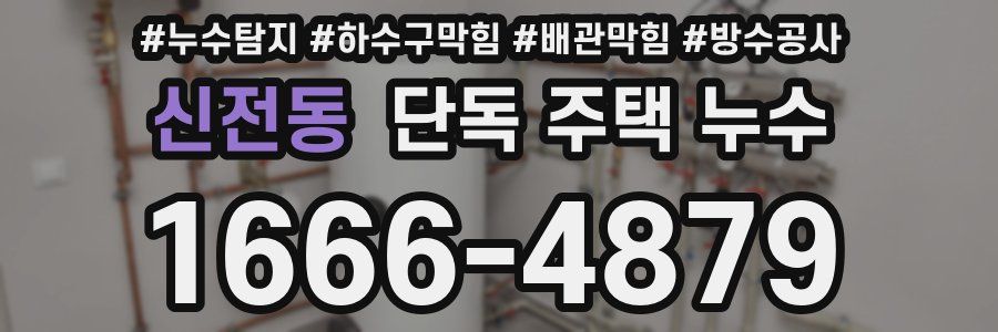 신전동 단독 주택 누수